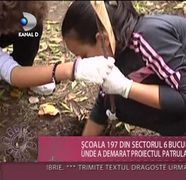 Patrula Eco, un proiect implementat in scoli pentru ca elevii sa constientizeze importanta mediului inconjurator VIDEO